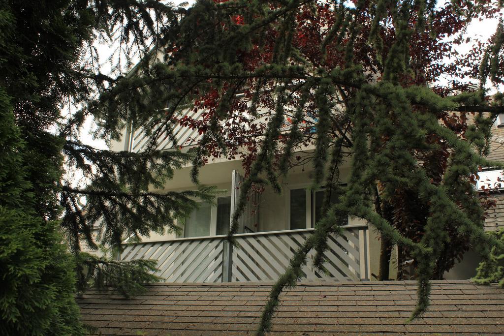 Vila Apartment Bled Lake Экстерьер фото